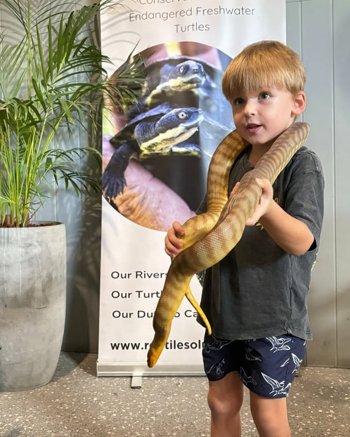 Featured image for “Family Fun at Reptile Show: Kids Eat Free and Face Painting at Great Northern Hotel”