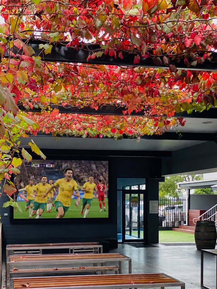 Featured image for “World Cup Action at Great Northern Hotel”