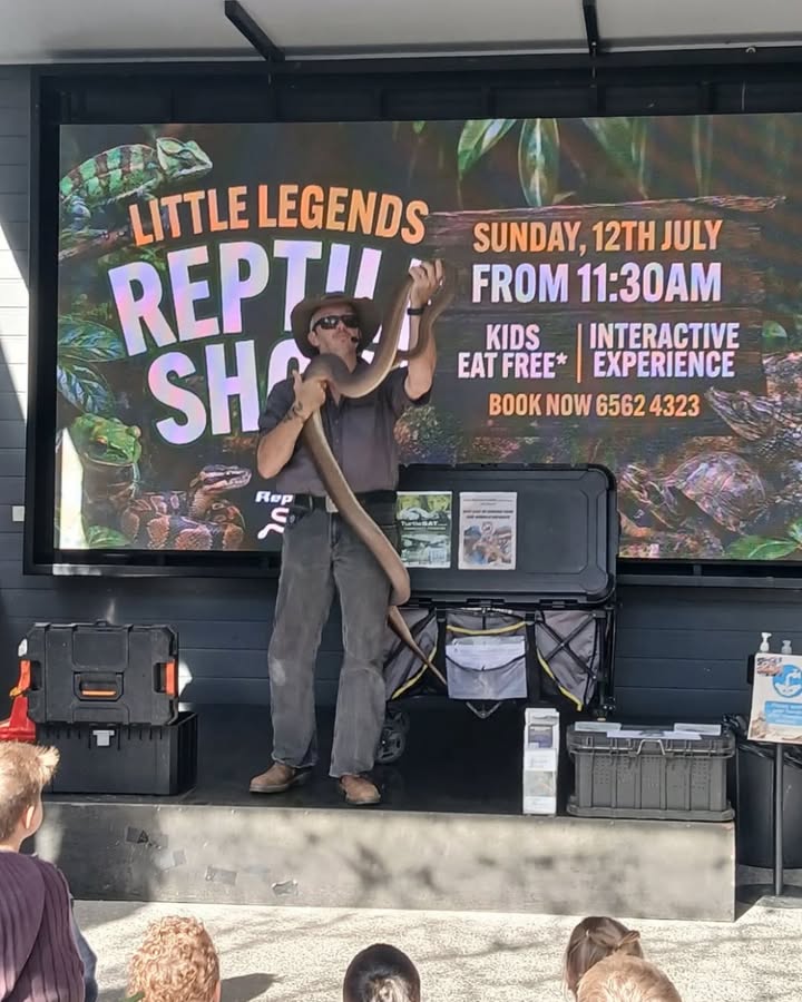 Featured image for “Little Legends Reptile Show a Hit at Great Northern Hotel”